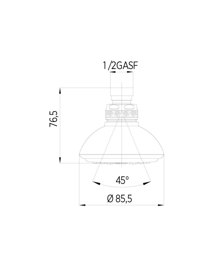 Bossini OVO-GOM/2 Shower head with joint