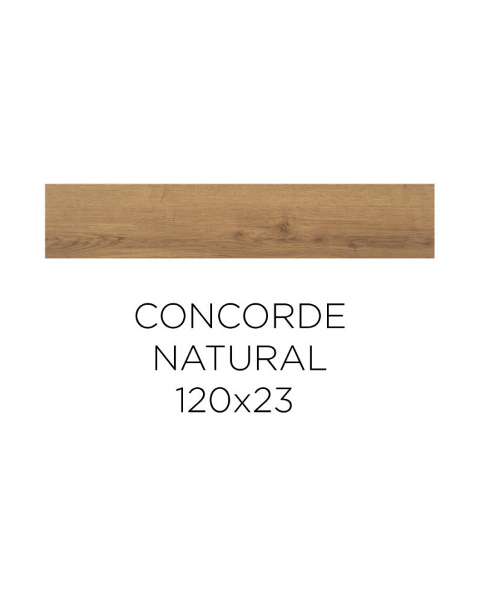 Alaplana Concorde Tile 120x23 cm Slipstop Natural Mate RTT