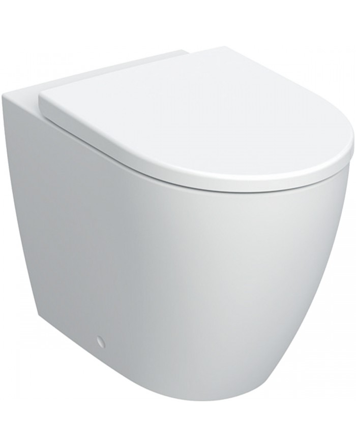 copy of Geberit Icon Rimfree® wall hung washdown toilet set with soft close seat