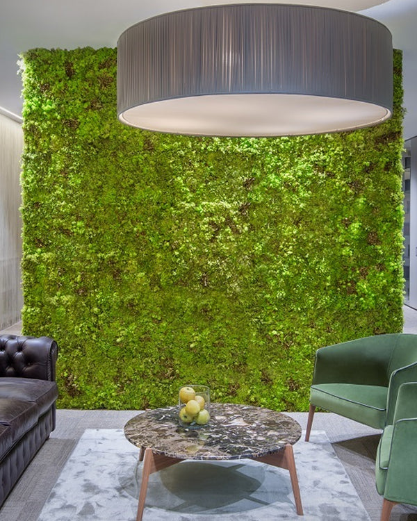 Verdeprofilo MOSSwall pannello muschio stabilizzato wasabi