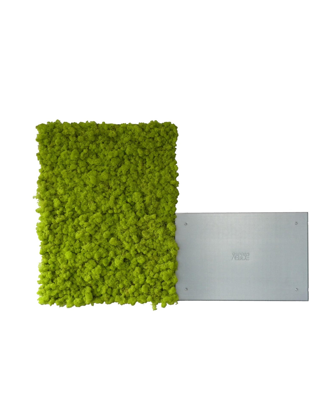 Verdeprofilo MOSSwall pannello muschio stabilizzato wasabi