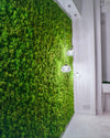 Verdeprofilo MOSSwall pannello muschio stabilizzato wasabi