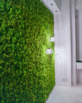 Verdeprofilo MOSSwall pannello muschio stabilizzato wasabi