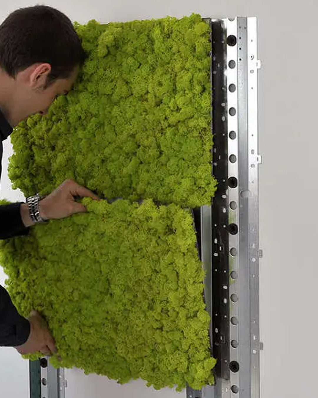 Verdeprofilo MOSSwall pannello muschio stabilizzato wasabi